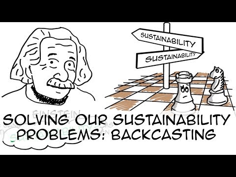 Sustainability Strategy: Backcasting from Success