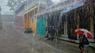 Super heavy rain and strong winds in my village | storm flood, Fall asleep to the sound of rain