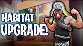 SCRUB PYTHON HABITAT UPGRADE | THE REAL TARZANN