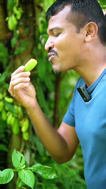 Bilimbi Beats Banana? You Won’t Believe This! 🍌❌🍃😱'
