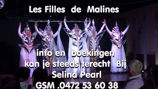 " Les filles de Malines "