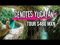 CENOTES YUCATAN + HACIENDA por MENOS DE $480 MXN || Cenotes Hacienda Mucuyché || TIPS DE AHORRO