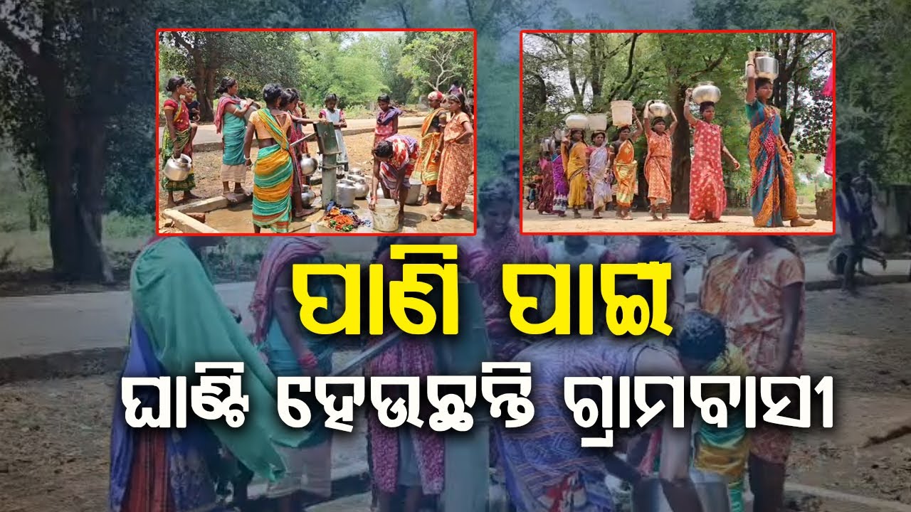 ପାଣି ପାଇଁ ଘାଣ୍ଟି ହେଉଛନ୍ତି କୁଟୁଣିପାଲ୍ଲୀ ପଞ୍ଚାୟତବାସୀ || Water Problem || BADAKHABAR TV