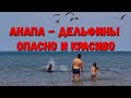 АНАПА - БУДЬТЕ ОСТОРОЖНЫ - ПРЕКРАСНОЕ ШОУ ДЕЛЬФИНОВ