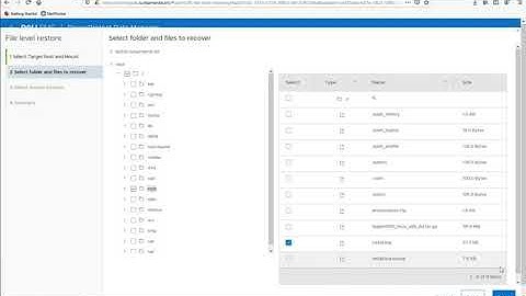 PPDM File Level Recovery