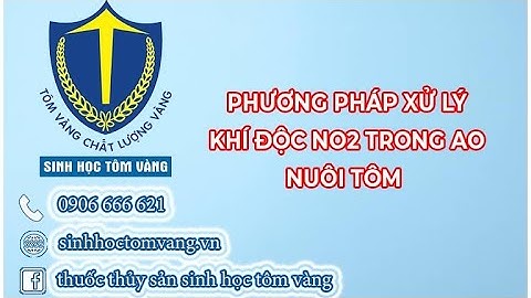 Cách xử lý khí độc NO2-NH3 hiệu quả
