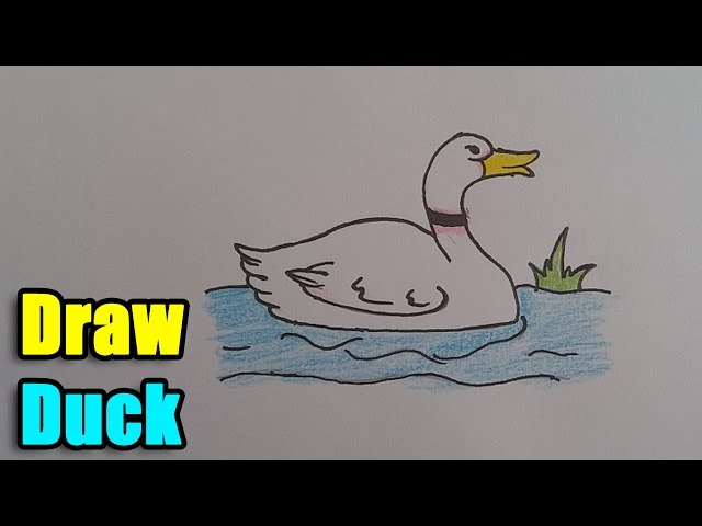 How To Draw Duck For Kids Instructables How To Draw Duck For Kids Instructables
