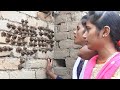 पिड़िया न्यू गीत~ 2021 || पिंड़िया का पर्व गावं घर में बहन लोग गीत गा कर कैसे लागाती है|| Pidiya