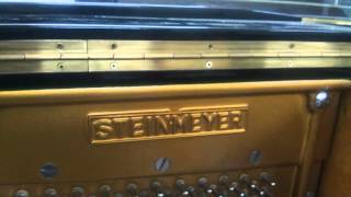 Steinmeyer Sk-3 tạp âm