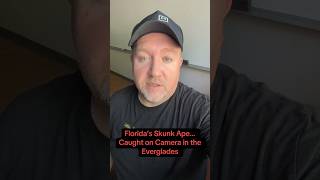 Florida’s Elusive Skunk Ape FINALLY Caught On Camera