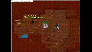 Tibia knight training
