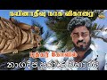 Sri Lanka Buddha Temple in Nanativu | நயினாதீவில் புத்தர் கோவில் | Ratchu Vlog