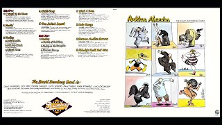The David Bromberg Band - I Want To Go Home