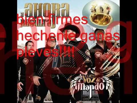 voz de mando bien firmes