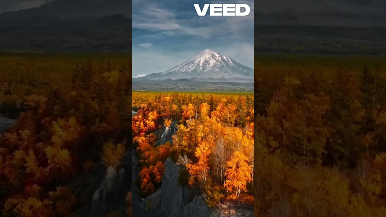 Ecosonico - Patagonia 