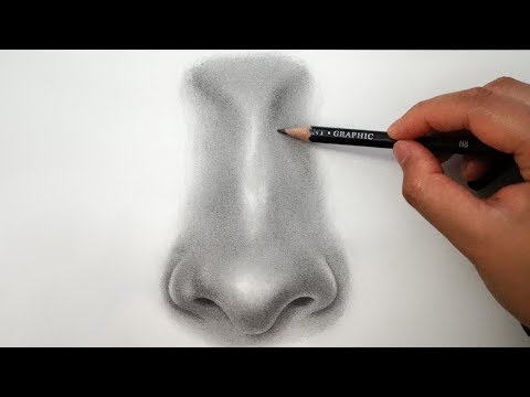 Video: How To Draw A Nose