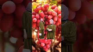 grape farm #youtubeshorts #trending #shorts #short @Ahmad_jhaen