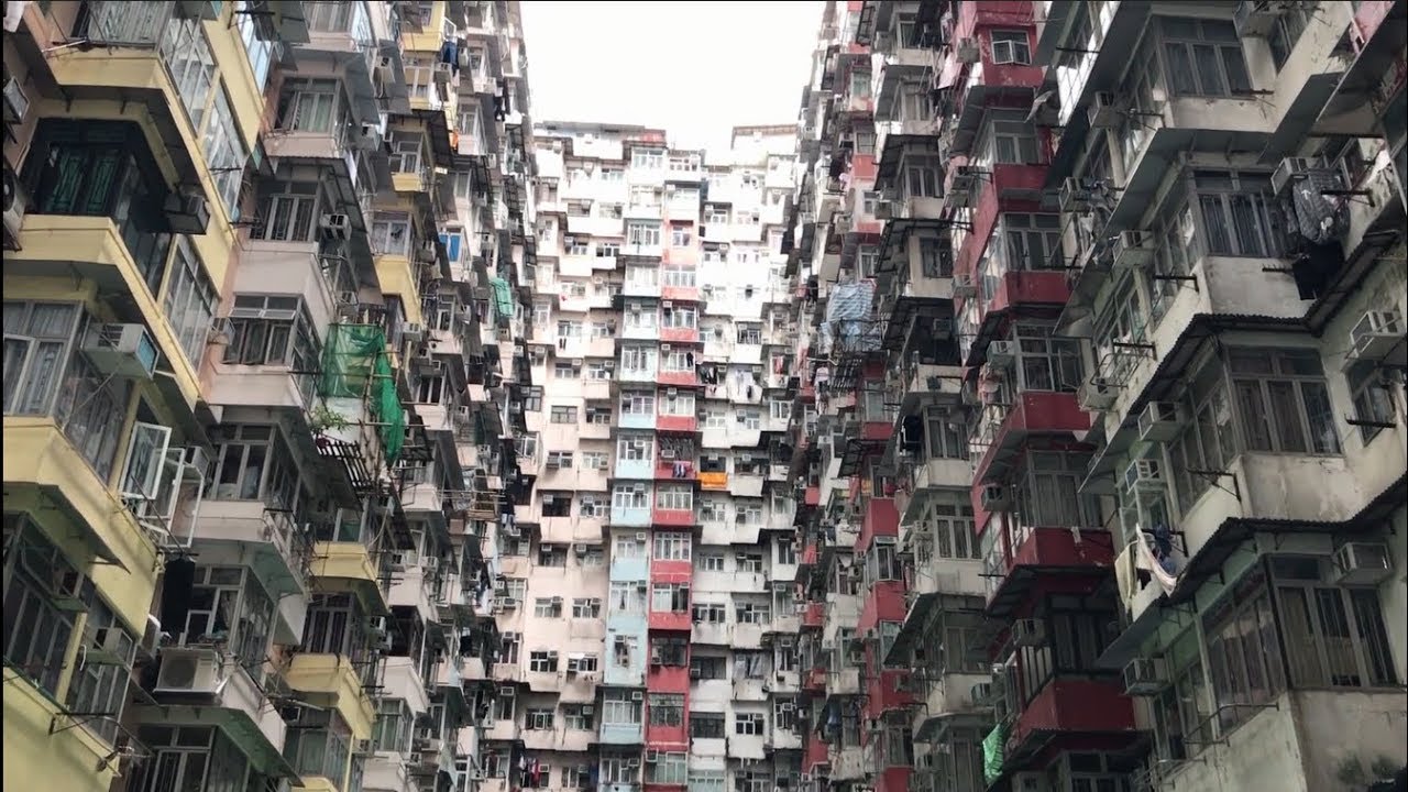 Beyond the Concrete Jungle