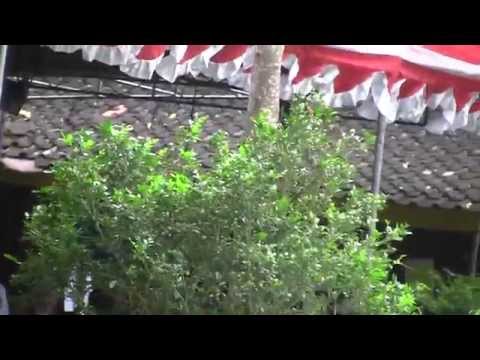 rebana-modern-karisma-nada-ngamen-15-/-ayo-tobat-(-bukan-sagita-)