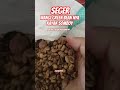 Aromanya Segerr Banget #greenbean #coffee #coffeeroast #greenbeanmedan #jualgreenbean #homeroasting