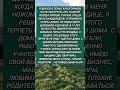 #история #историиизжизни #алкоголизм #победа #бизнес #мотивация #жизнь