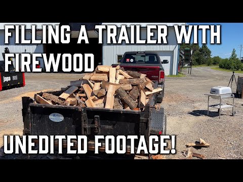 Making Firewood for the Winter, Raw Footage of the Japa 365+ Pro