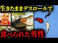 【戦慄】消えた実業家。捕獲した500kgの凶暴なワニの腹を解剖した映像が世界をパニックに陥れる…