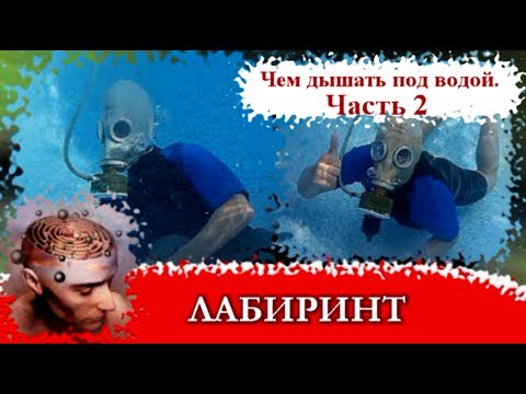 Video: Акваланг менен сүзгөндө эмне менен дем аласың