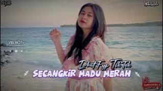 Lagu Remix Velocity - Dangdut Secangkir Madu Merah || Lagu Acara Terbaru || AkbarLaOde
