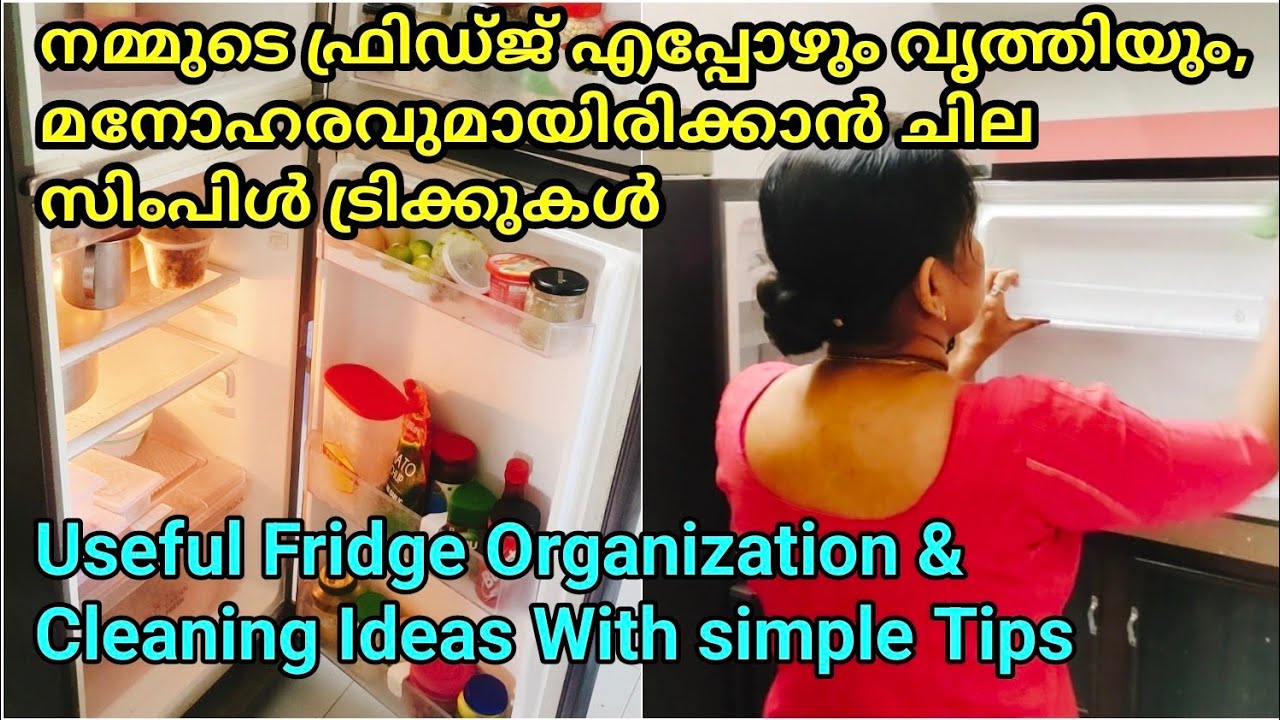 ഫ്രിഡ്ജ് വൃത്തിയിലും, ചിട്ടയായും സൂക്ഷിക്കാം സിംപിളായി /Useful Small Fridge Organization Ideas &Tips