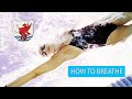 How to Breath in Swimming