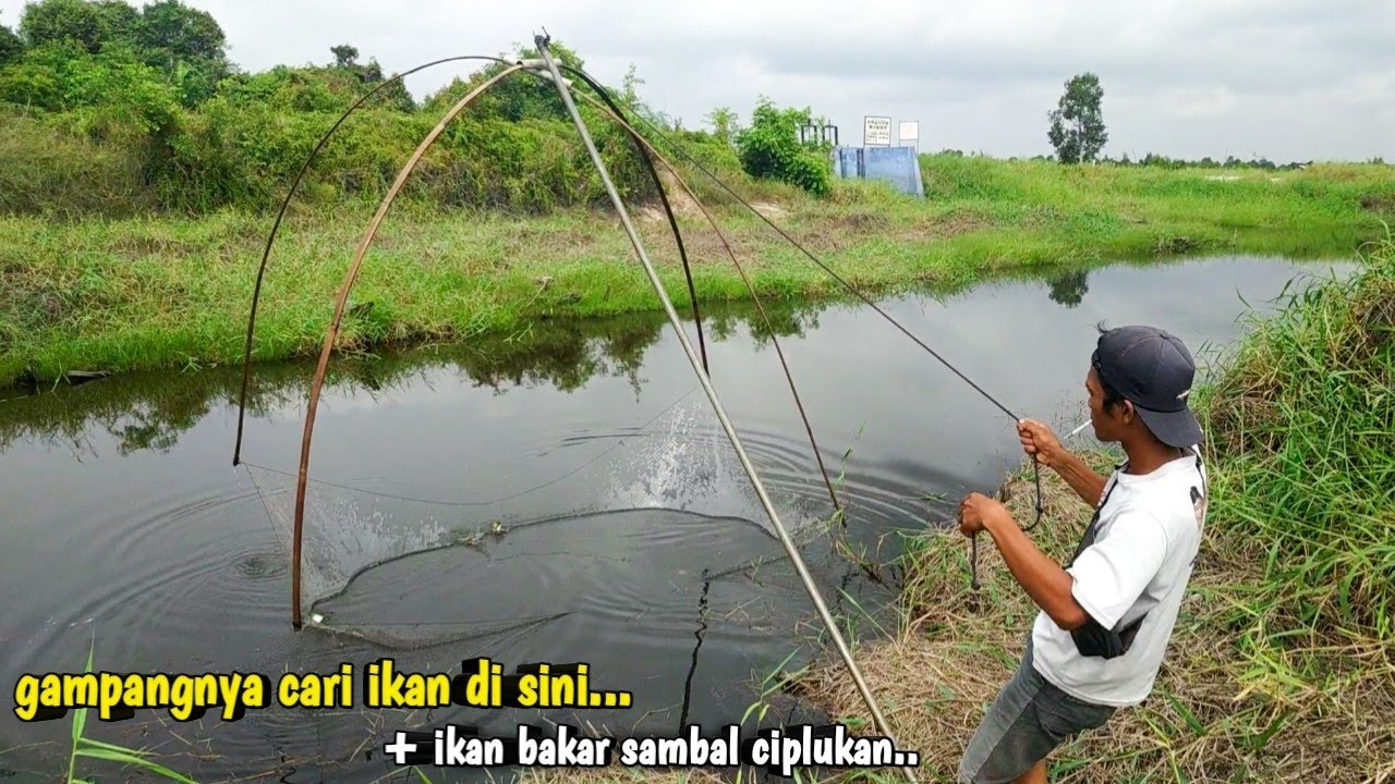 Mancing Ikan Baung Monster Di Tengah Hutan Rimba Youtube