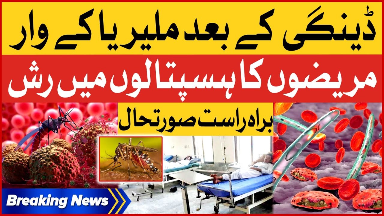 Malaria Viral Infections in Sindh | Hospital Mein Mareezon ka Rush | Breaking News