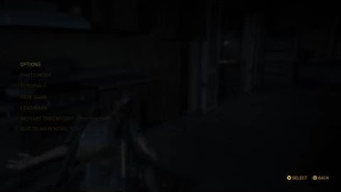 The Last of Us™ Part II- Arm Glitch