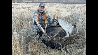 Montana Moose hunt 2020