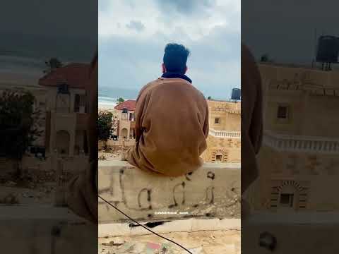 طير في السما وملوش عنوان