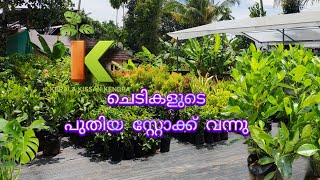 Kerala Kissan Kendra Nursery Latest Flower Collection 2025 Best Affordable Flowers In Kochinursery