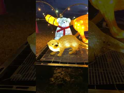 【小矢部市】イルミネーションと動物のみなさん「おやべイルミ2023」|クロスランドおやべ サムネイル