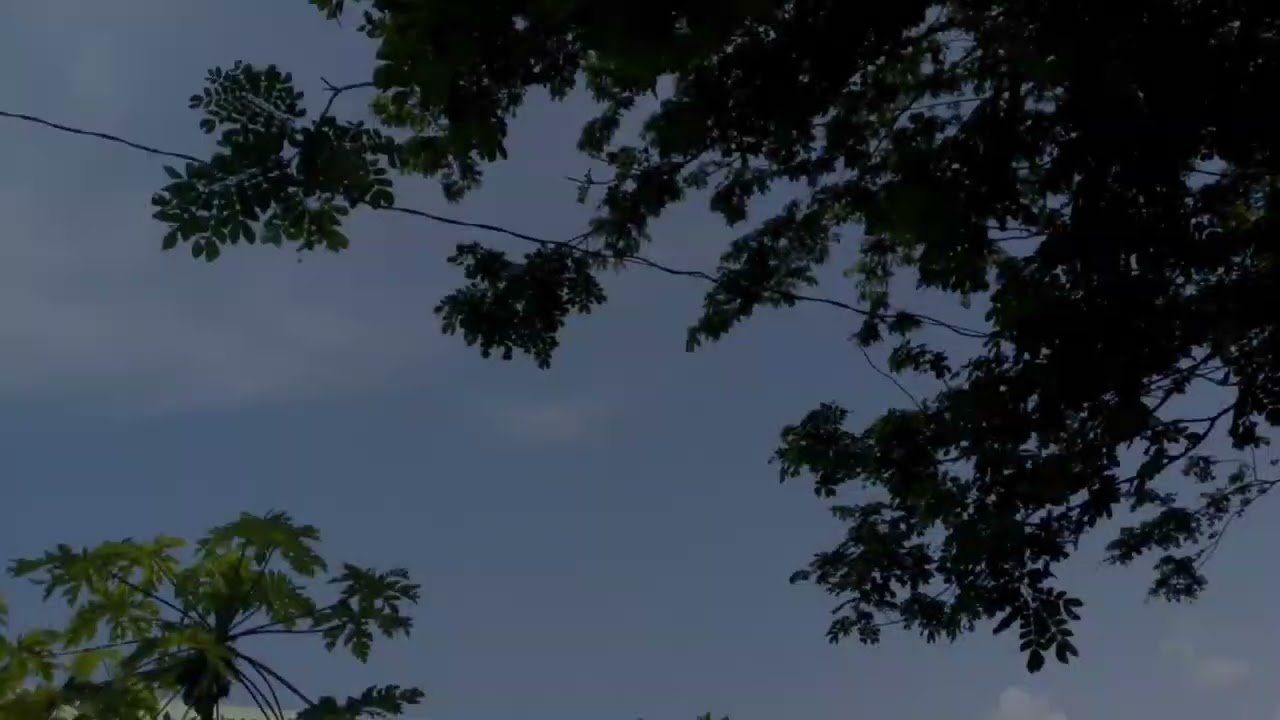 Creating Frefreshing Environment In San Julian Integrated School