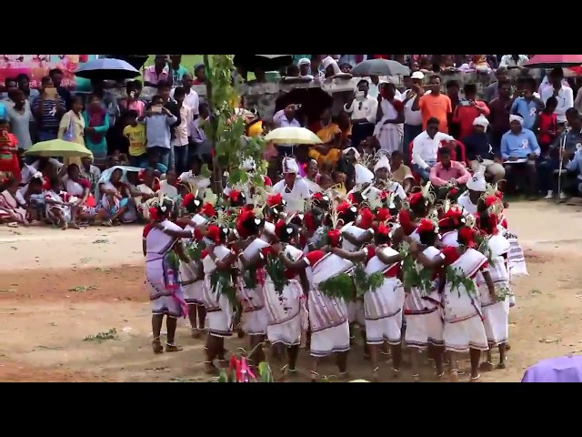 Adivasi karma dance 2017 Hd video class=