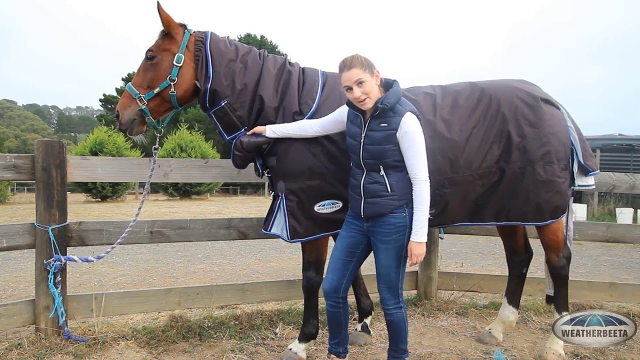 Meet Our Rug Expert, Tenielle! Horseland YouTube