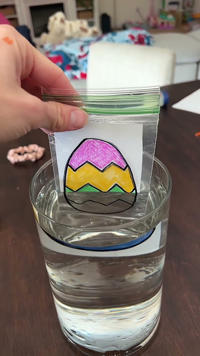 Light refraction experiment!