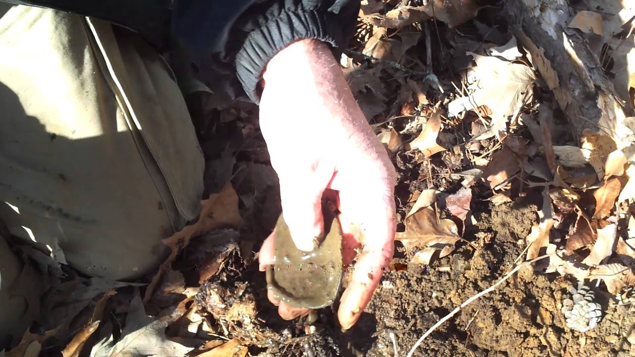 February 14, 2015 10:10 AM I found this Confederate belt buckle today. Pretty good for an old man.