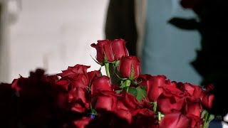 Kroger workers make final preparations for Derby winner's Garland of Roses