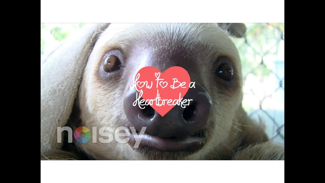 Marina and the Diamonds x Kitty Pryde - "How To Be A Heartbreaker" (Official Remix Video)