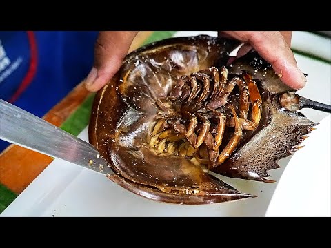 Thai Food - HORSESHOE CRAB EGGS Aoywaan Bangkok Thailand