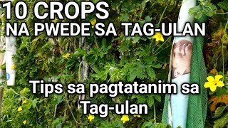 Anong Crops ang Pwedeng Itanim sa TagUlan