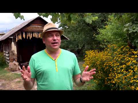 რან გიდორი