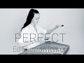 #edsheeran #perfect #cover  Цимбалы. Cimbalom. Hackbrett.