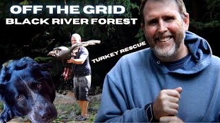 Saving A Wild Turkey| Off The Grid at Black River Forest! by Gunther's Spot   3,143 views 2 years ago 15 minutes